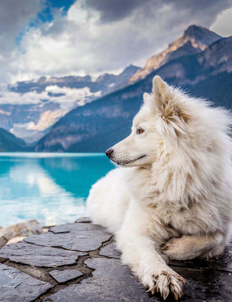 Snowbirds & RV Travelers Preview Pages