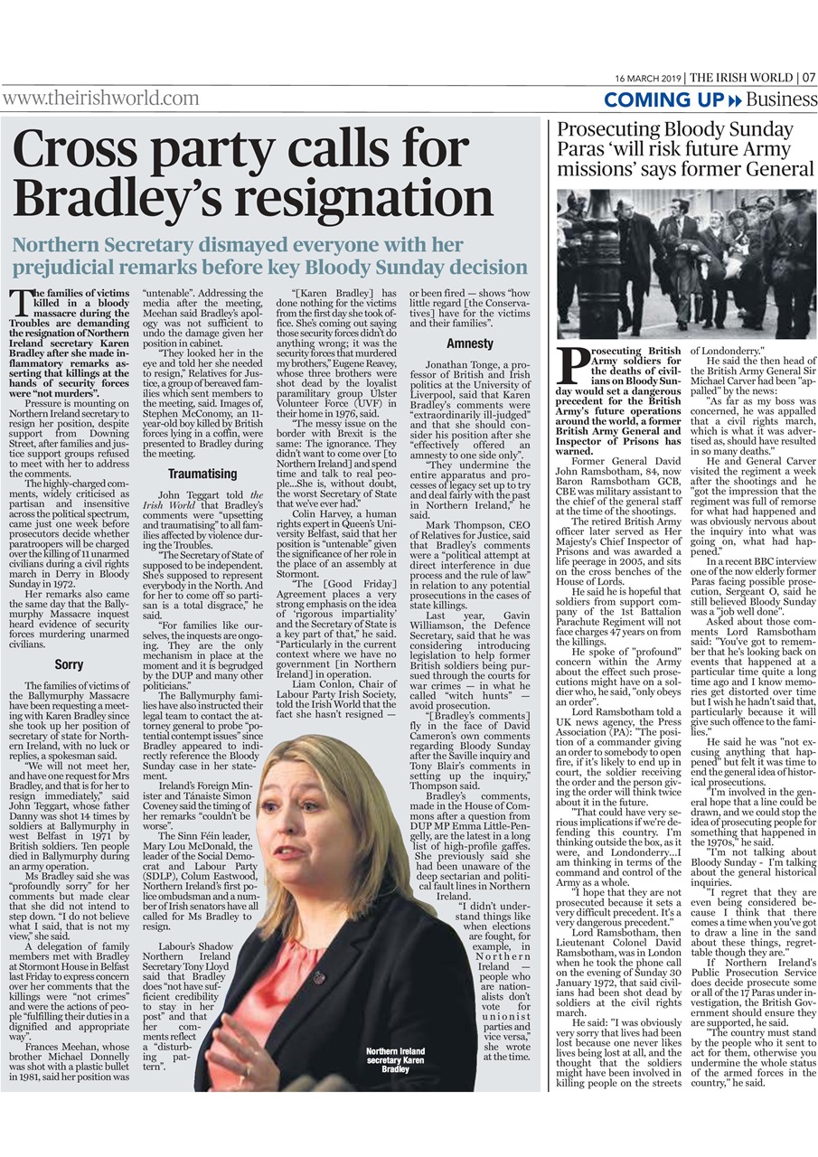 Irish World Preview Pages