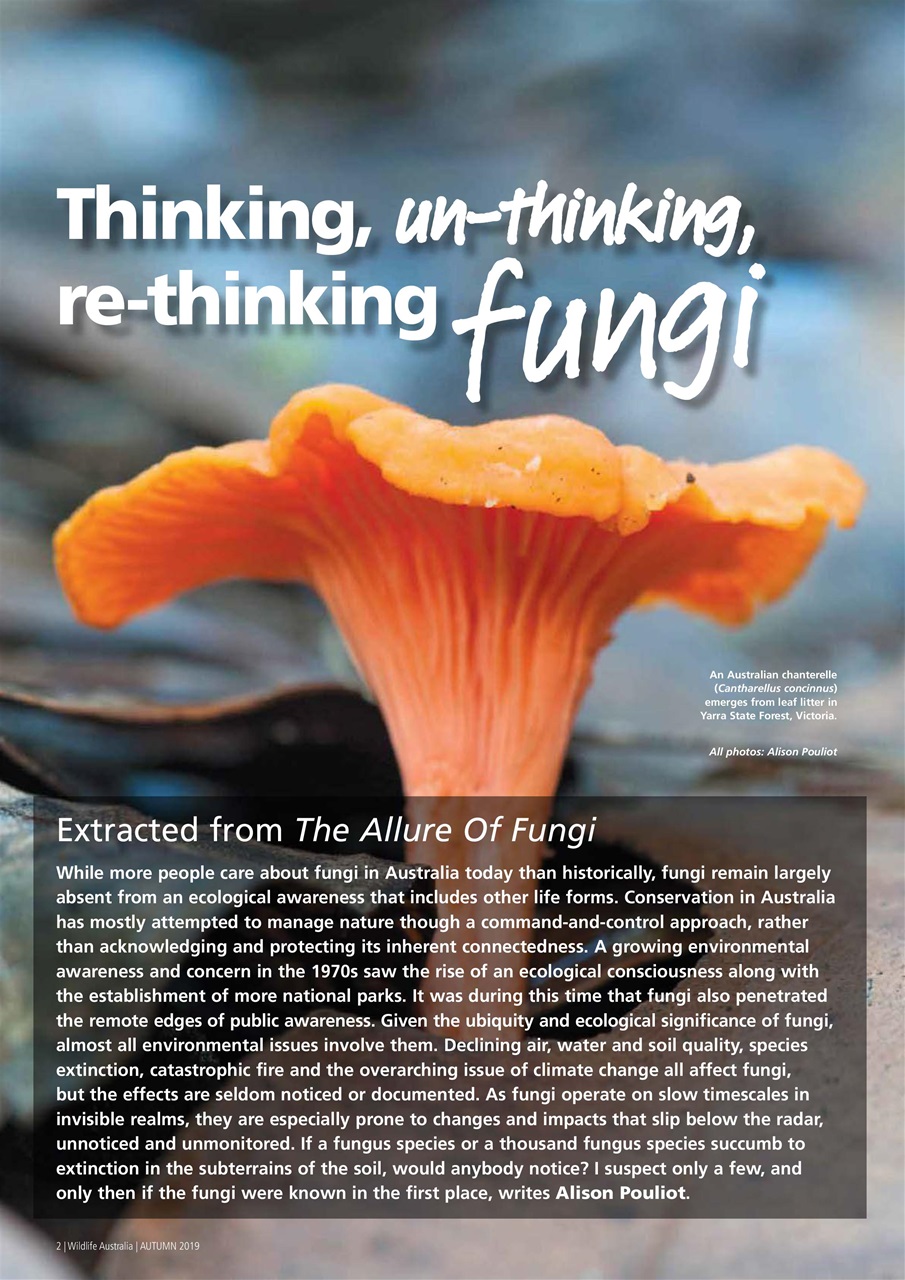 Wildlife Australia Preview Pages