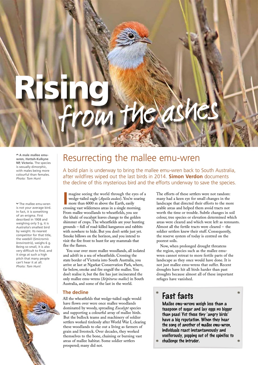 Wildlife Australia Preview Pages