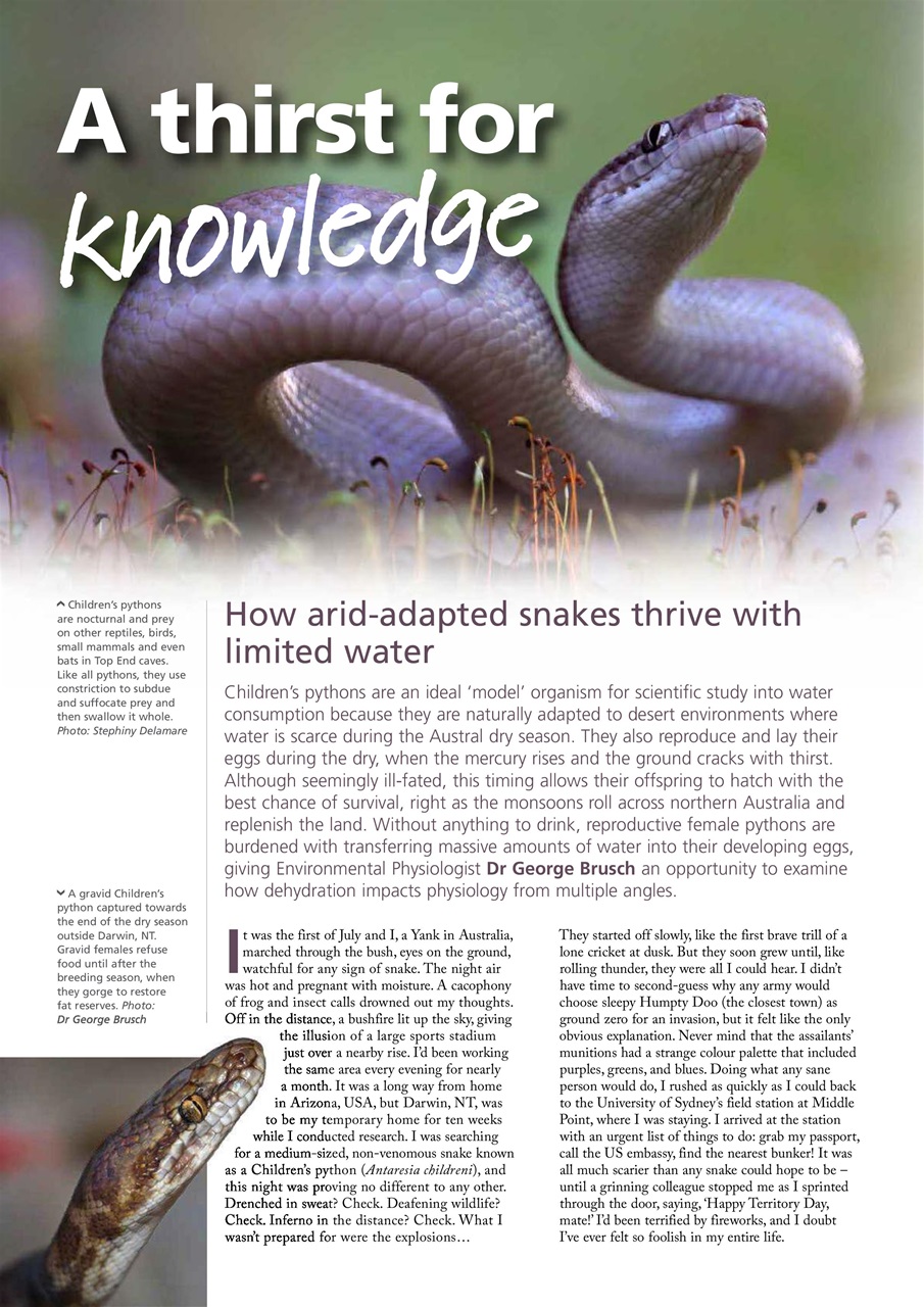 Wildlife Australia Preview Pages