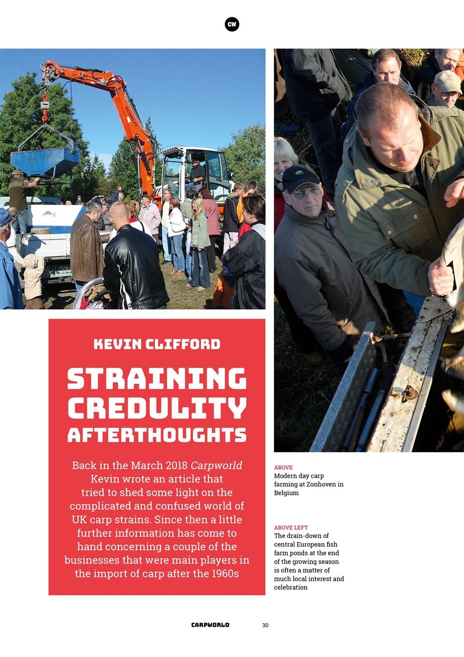 Carpworld Preview Pages