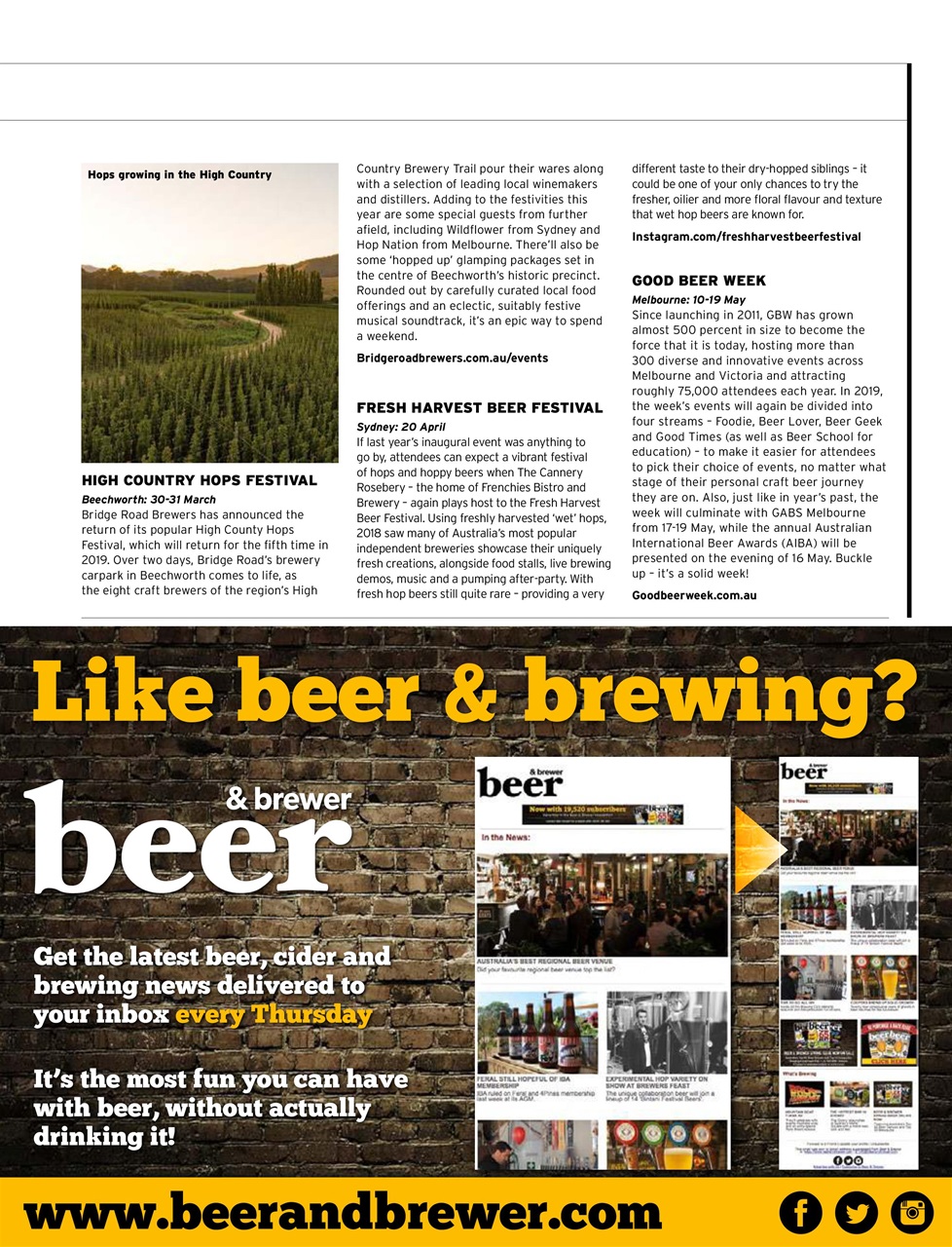 Beer and Brewer Preview Pages