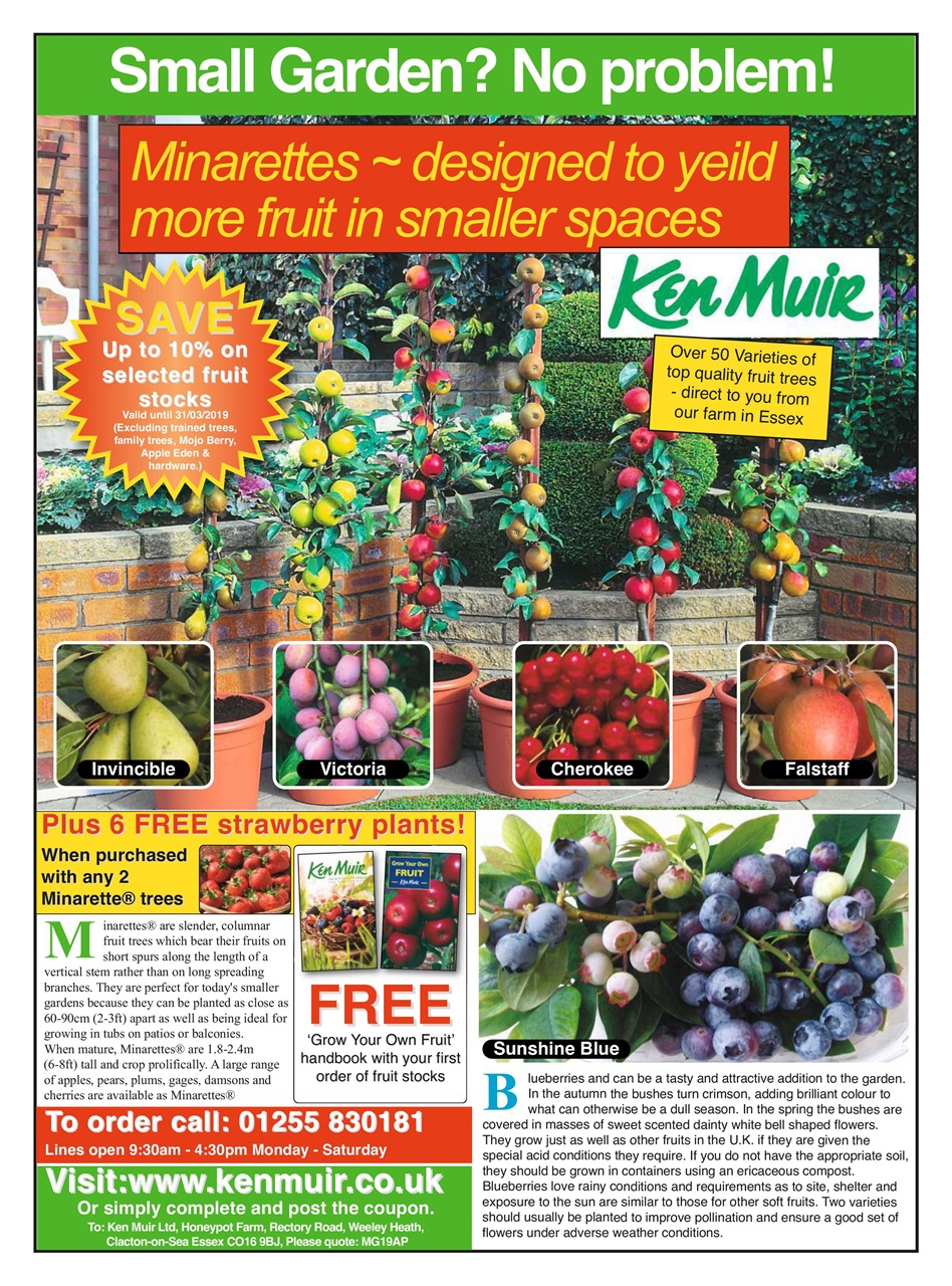 Modern Gardens Preview Pages