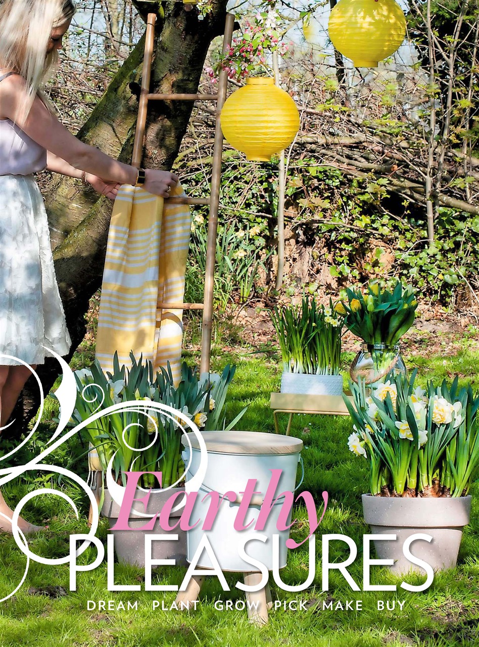 Modern Gardens Preview Pages