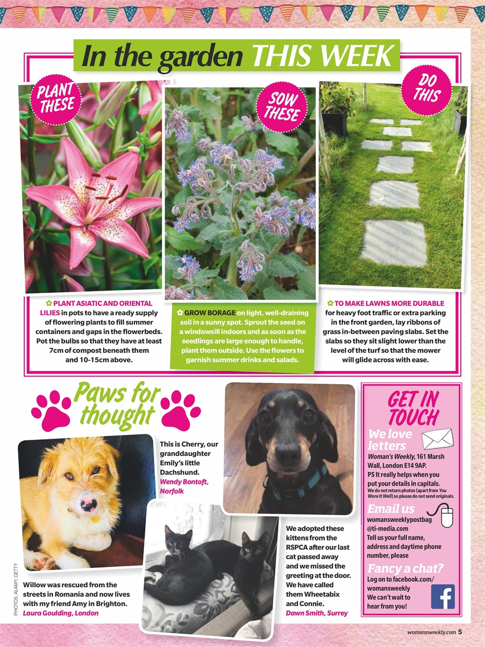 Woman's Weekly Preview Pages