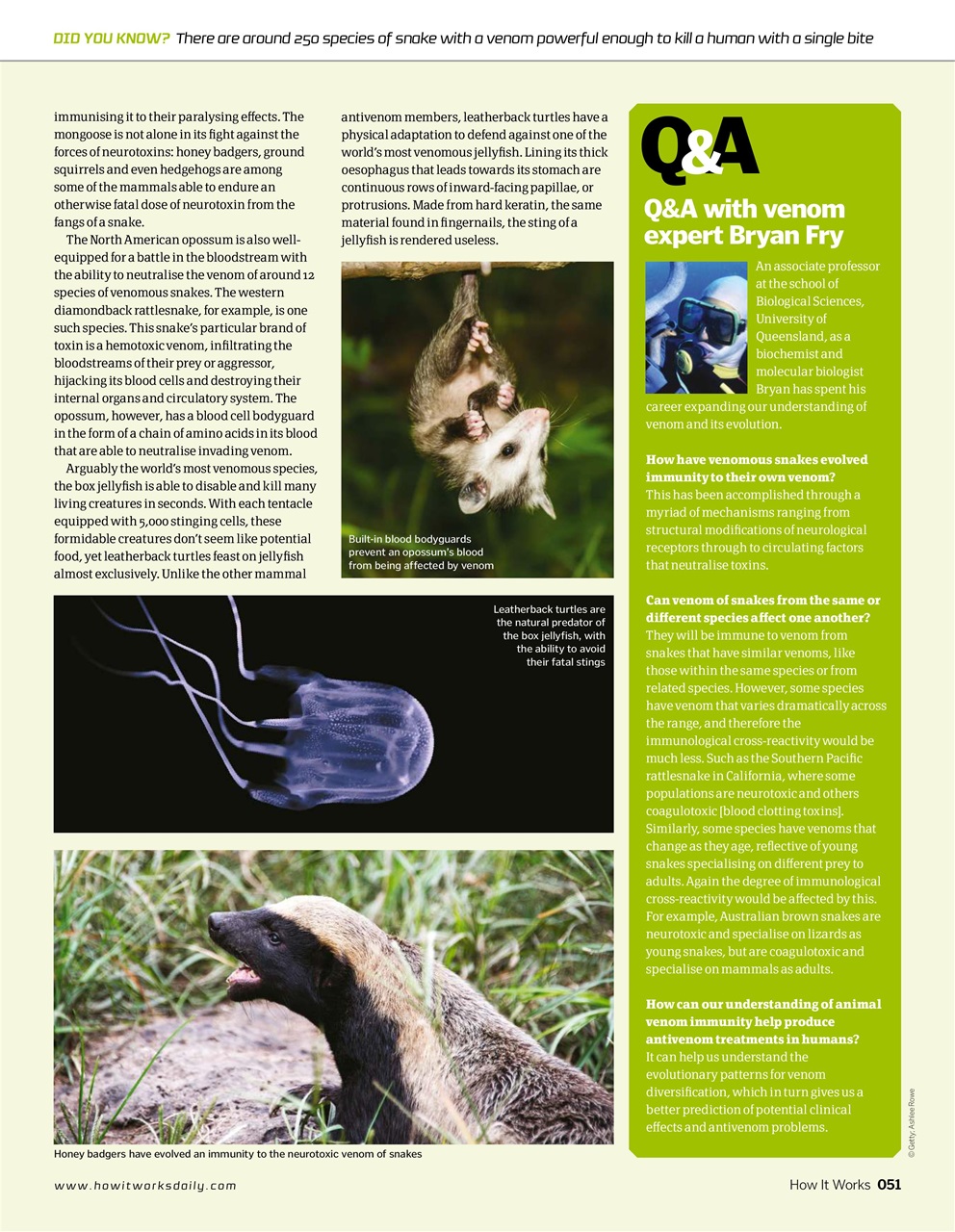 How It Works Preview Pages