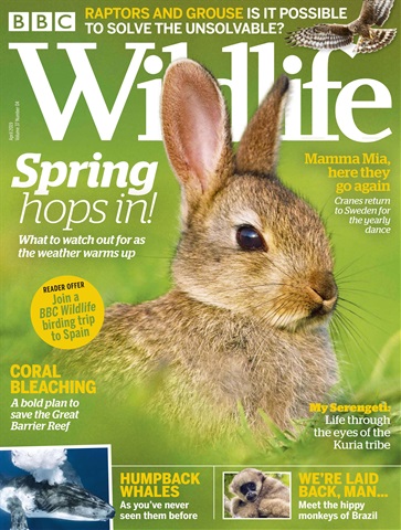 BBC Wildlife Magazine issue April 2019