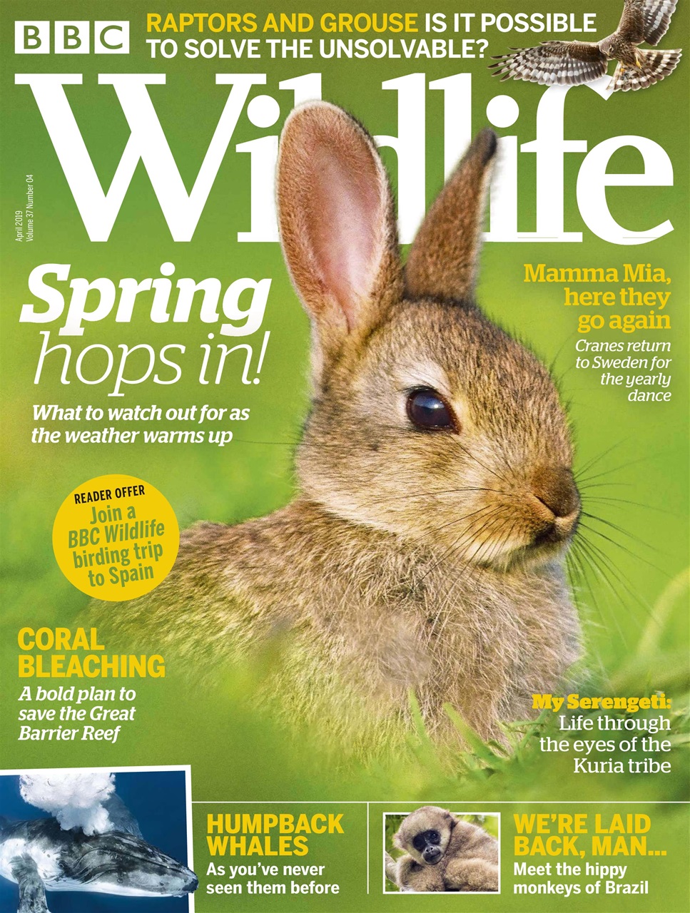 BBC Wildlife Magazine Preview Pages