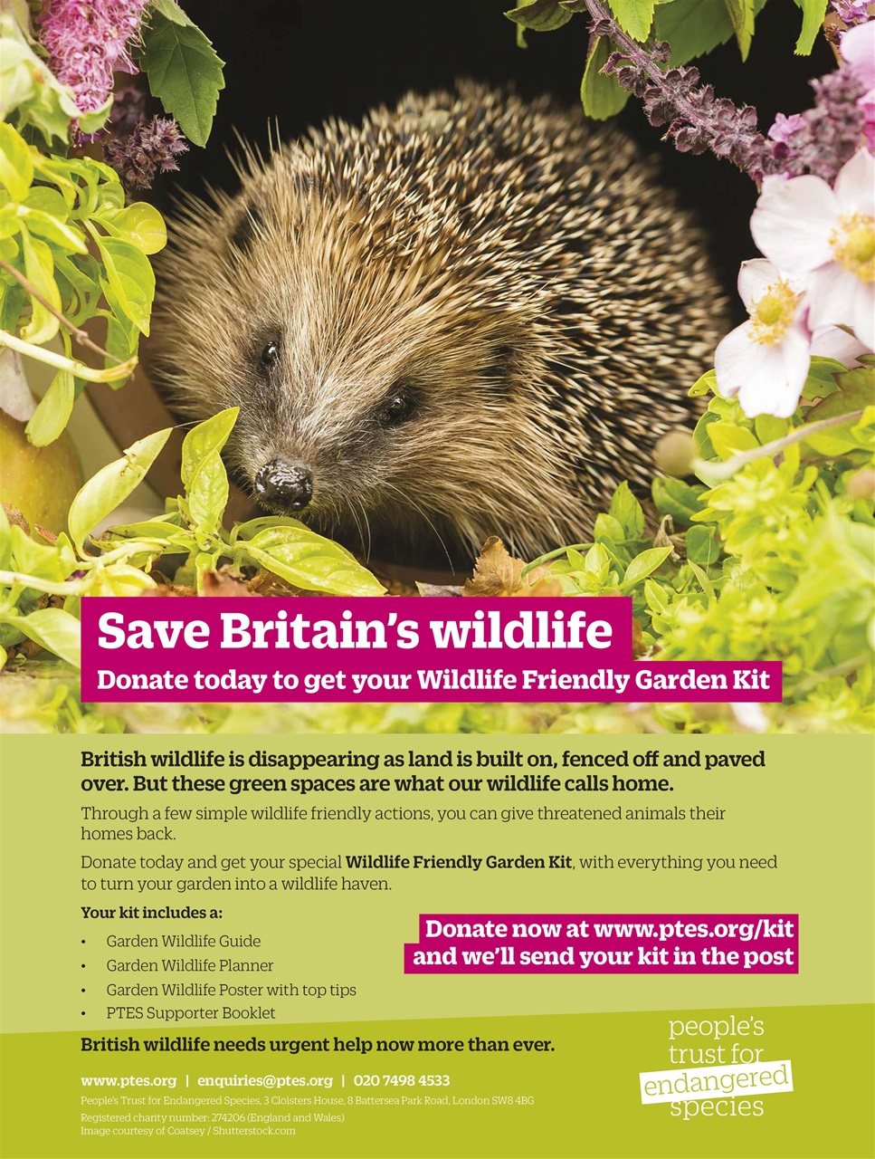 BBC Wildlife Magazine Preview Pages