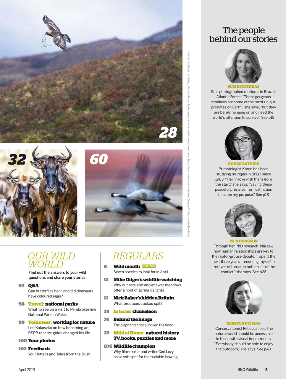 BBC Wildlife Magazine Preview Pages