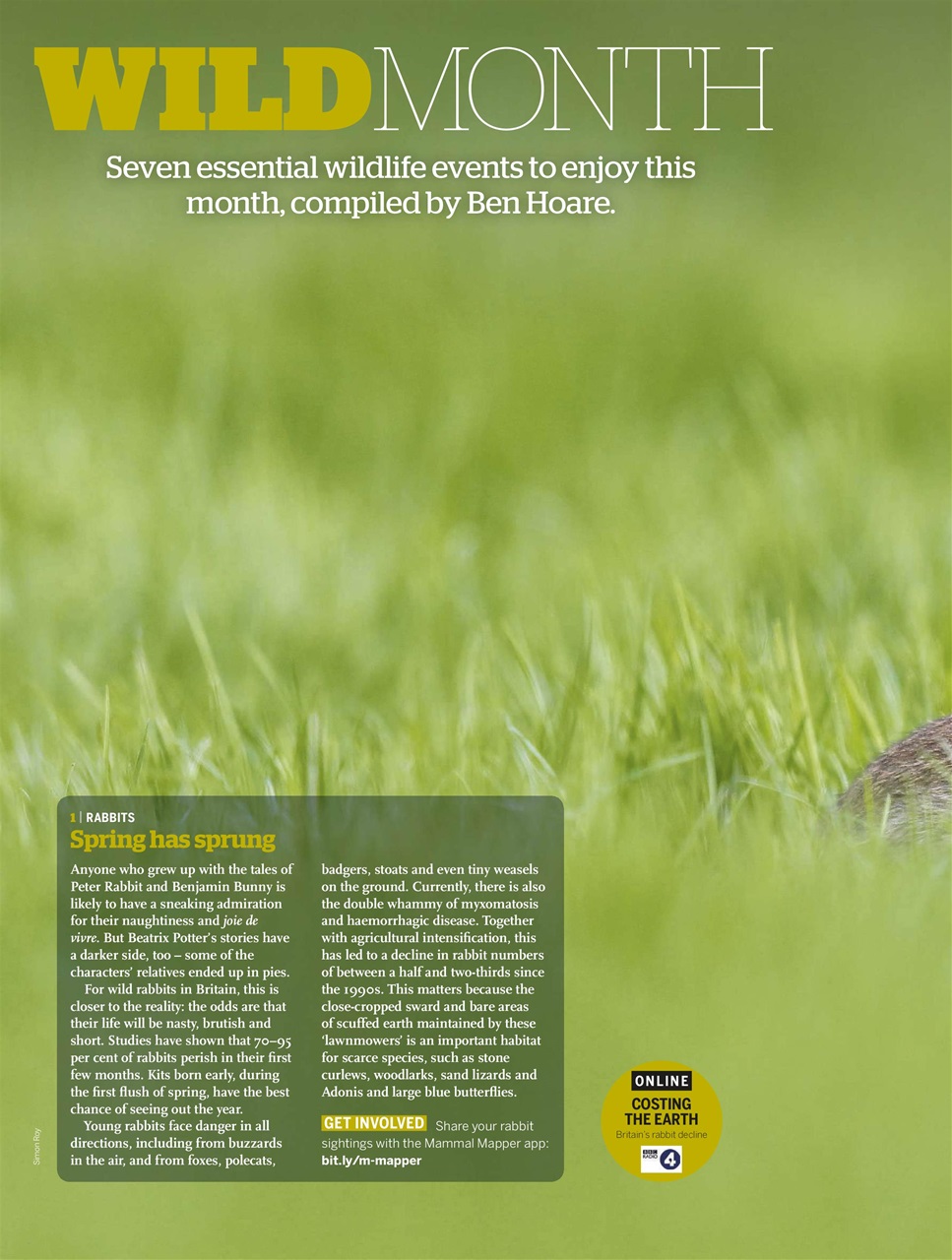 BBC Wildlife Magazine Preview Pages