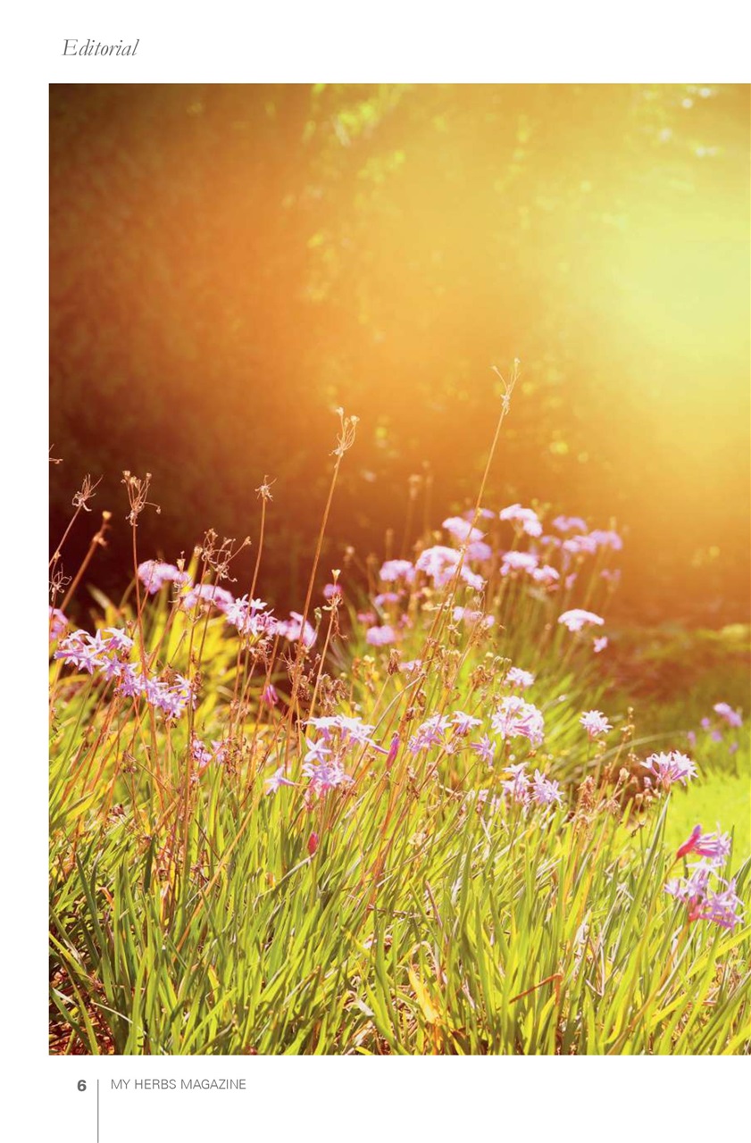 My Herbs Magazine Preview Pages