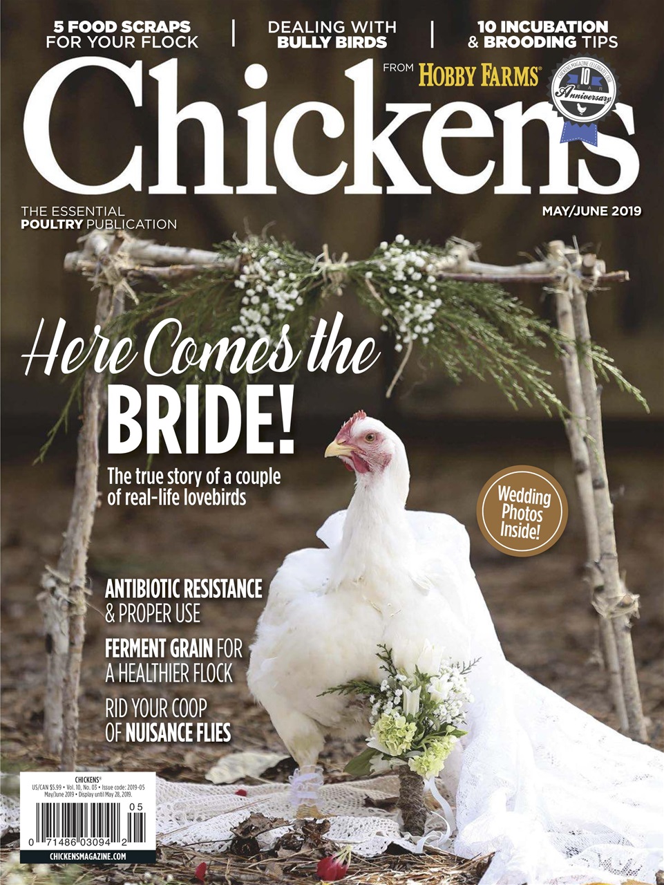 Chickens Magazine Preview Pages