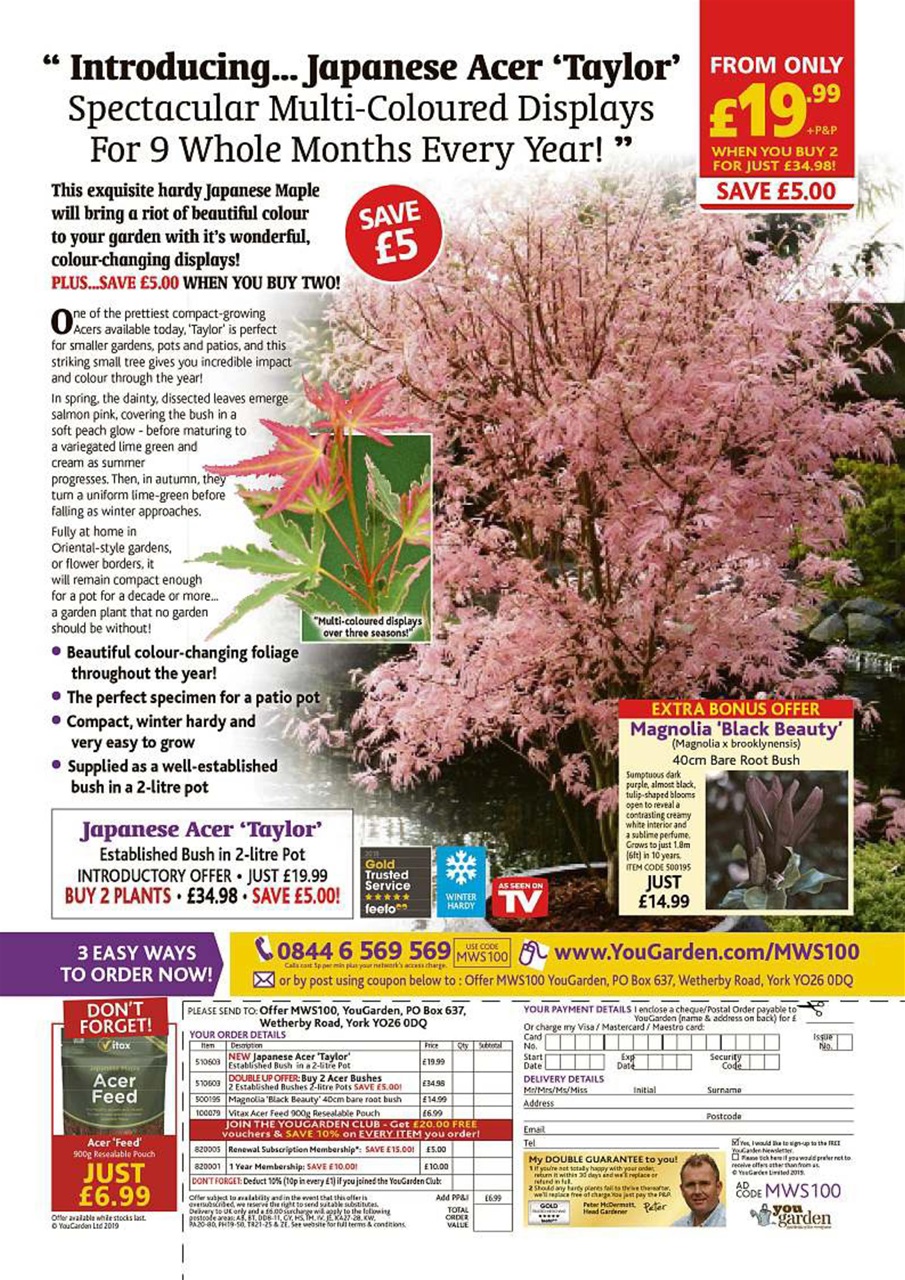 My Weekly Special Preview Pages