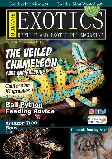 Ultimate Exotics issue 