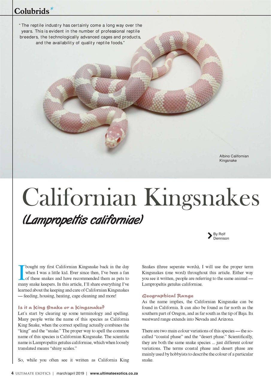 Ultimate Exotics Preview Pages