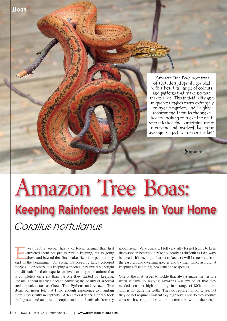 Ultimate Exotics Preview Pages