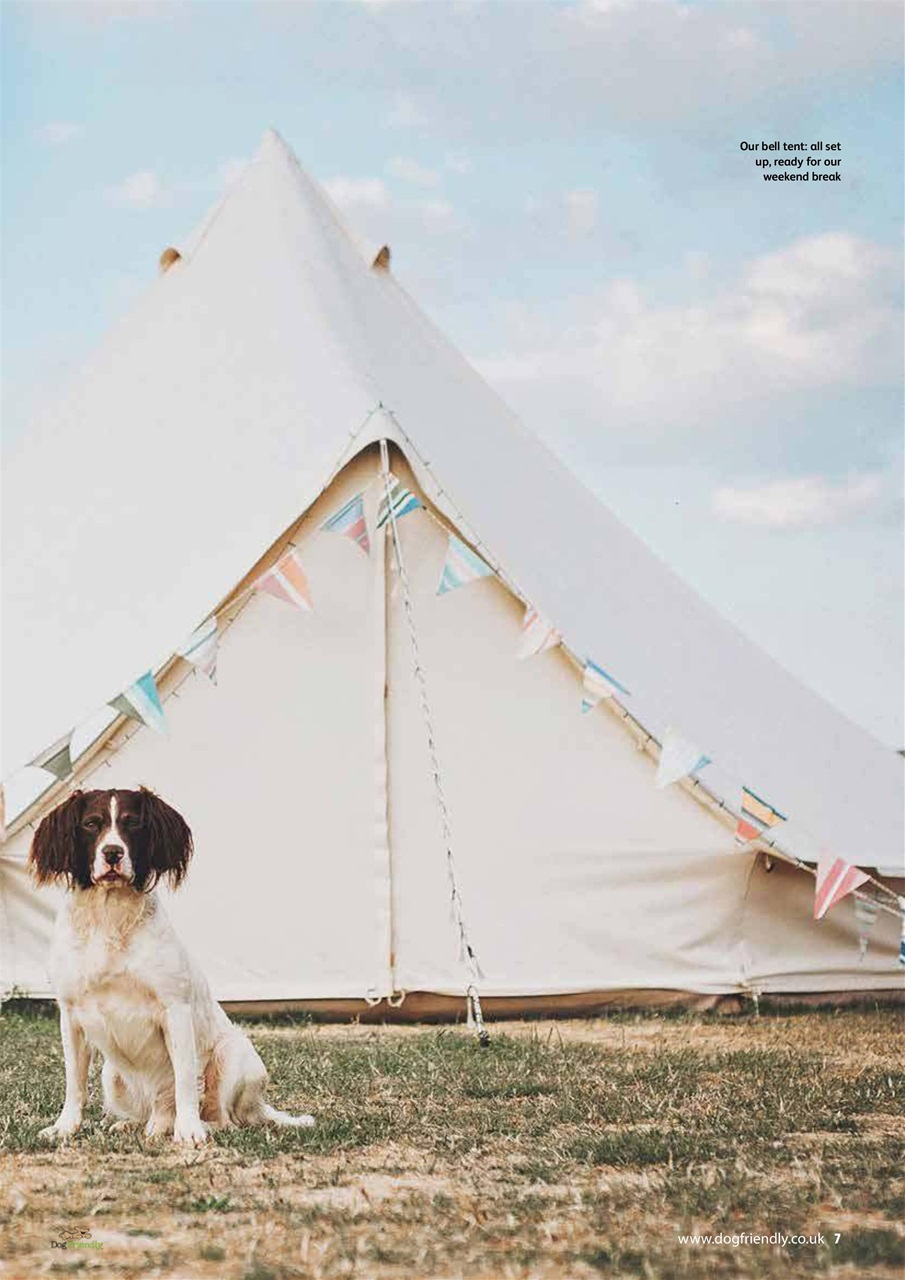 Dog Friendly Preview Pages