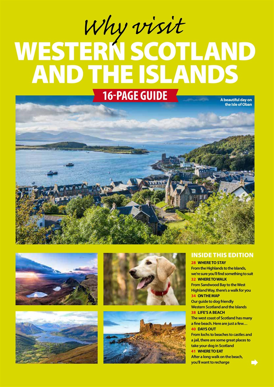 Dog Friendly Preview Pages