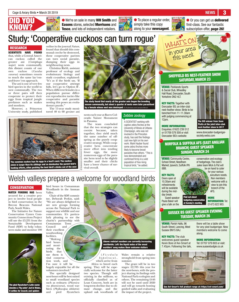 Cage & Aviary Birds Preview Pages
