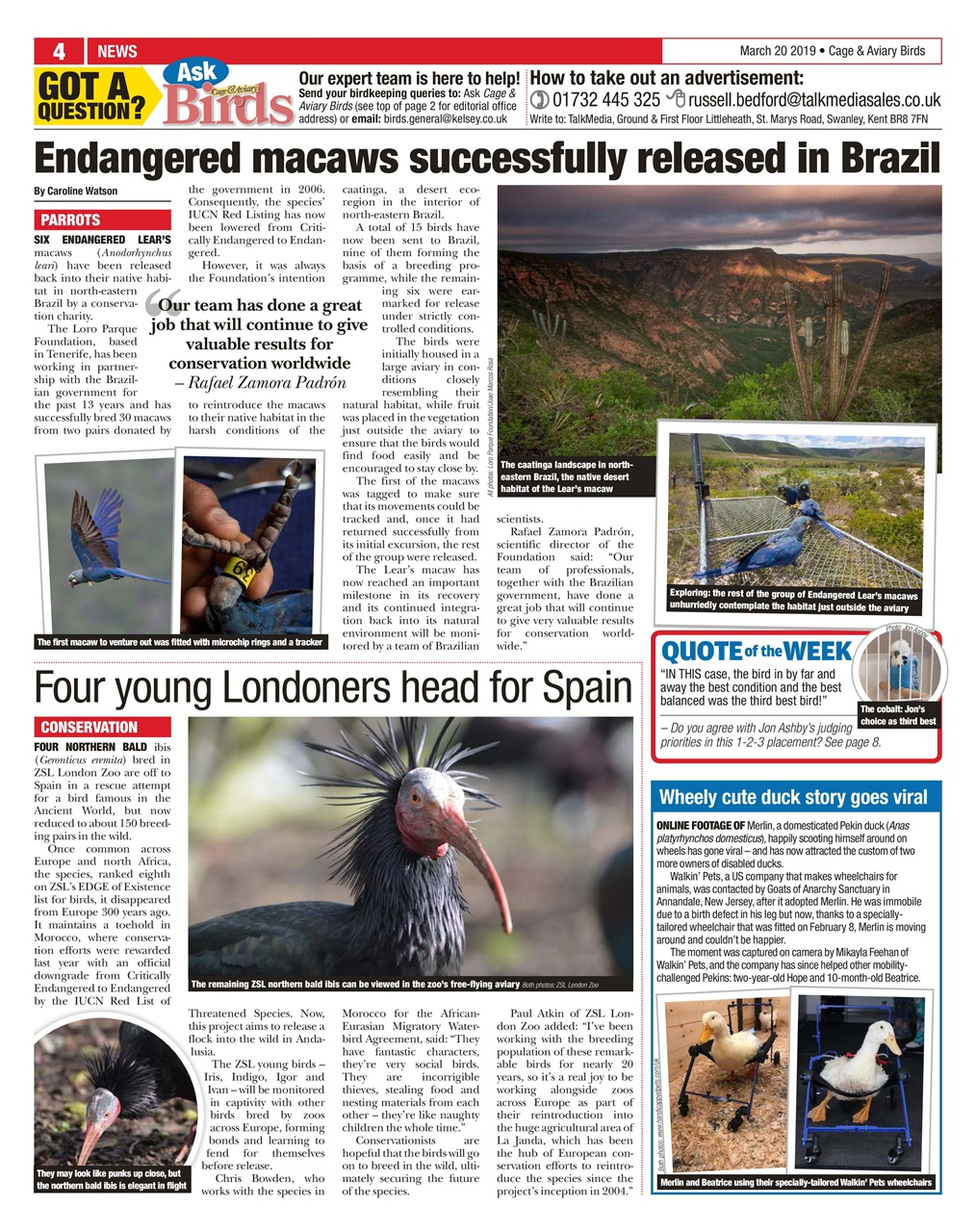 Cage & Aviary Birds Preview Pages