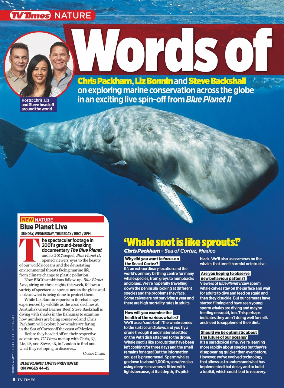 TV Times Preview Pages