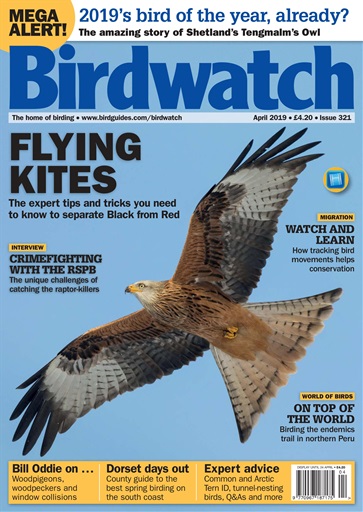 Birdwatch Magazine issue 