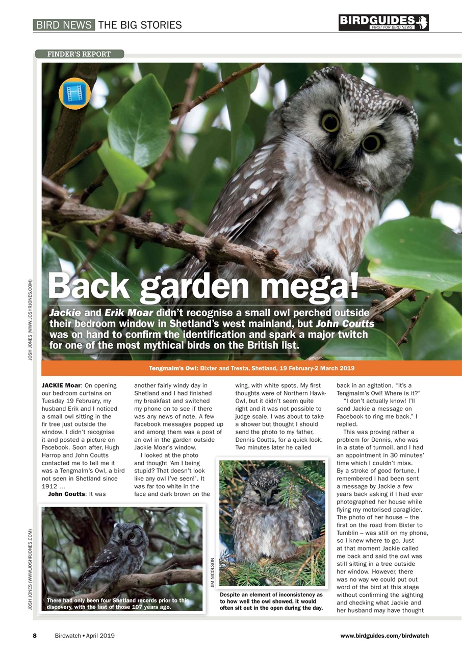 Birdwatch Magazine Preview Pages