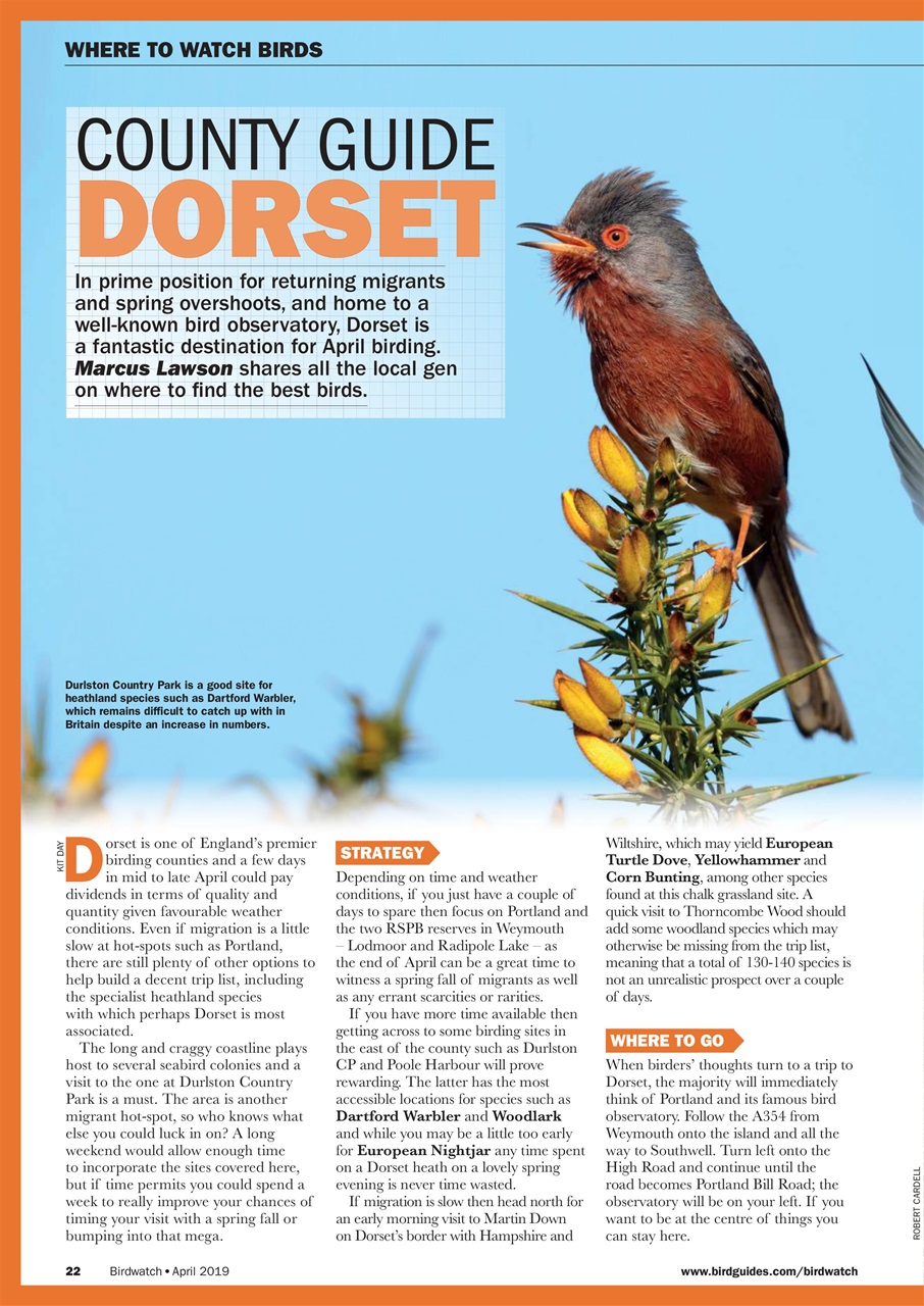 Birdwatch Magazine Preview Pages