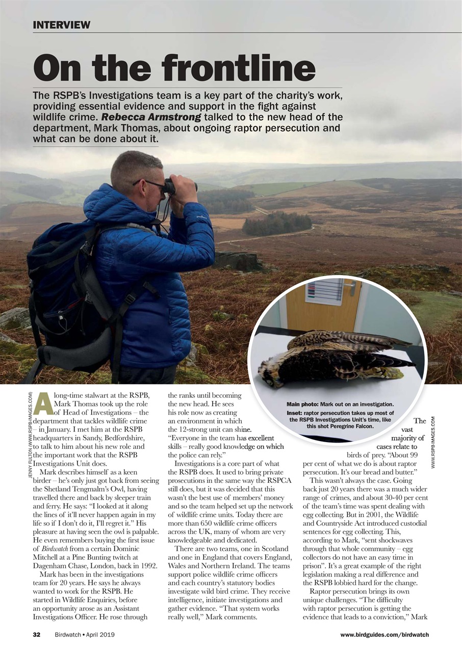 Birdwatch Magazine Preview Pages