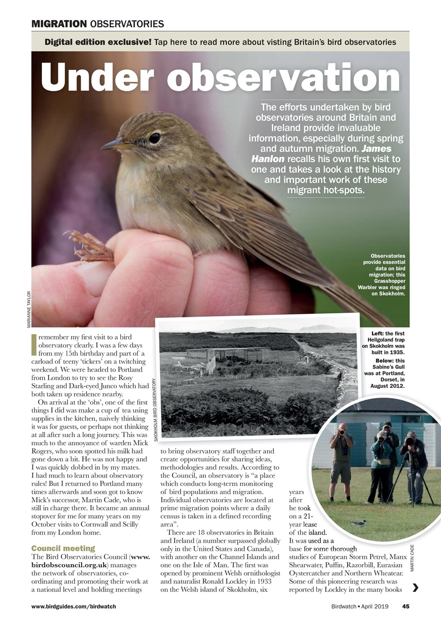 Birdwatch Magazine Preview Pages