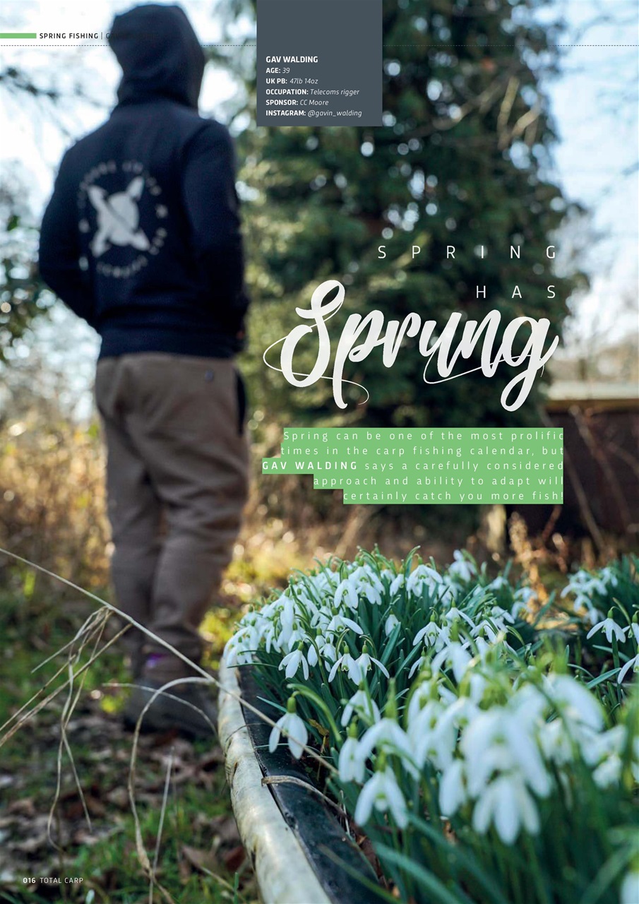 Total Carp Preview Pages