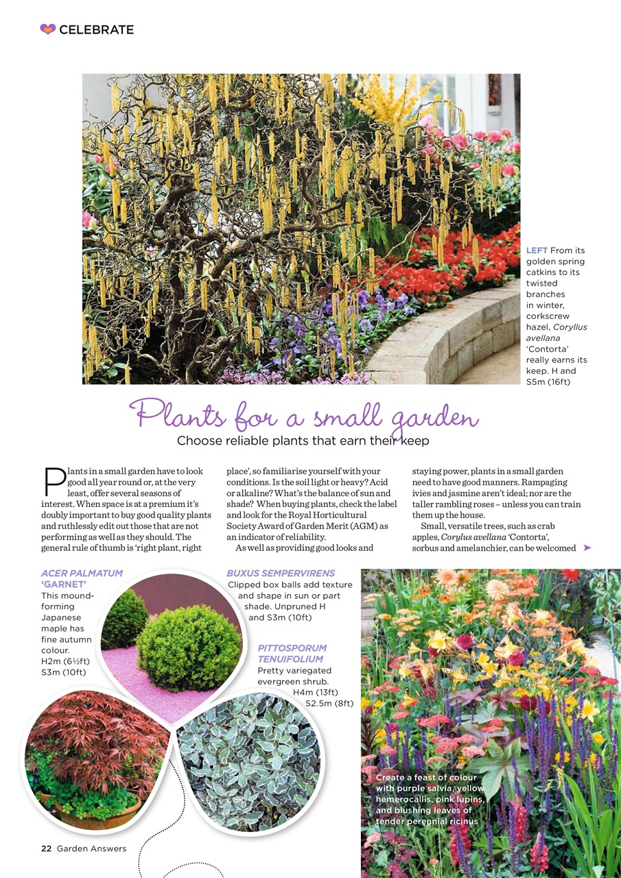 Garden Answers Preview Pages