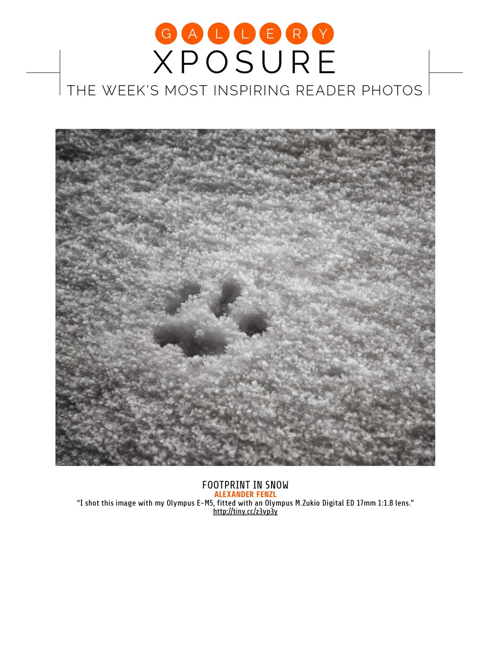 Photography Week Preview Pages