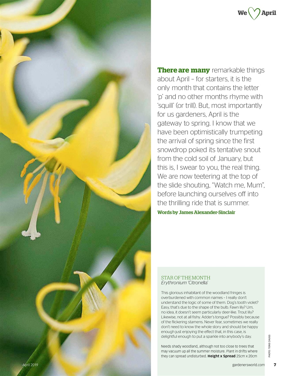 BBC Gardeners’ World Magazine Preview Pages
