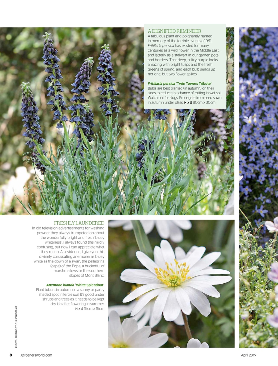 BBC Gardeners’ World Magazine Preview Pages