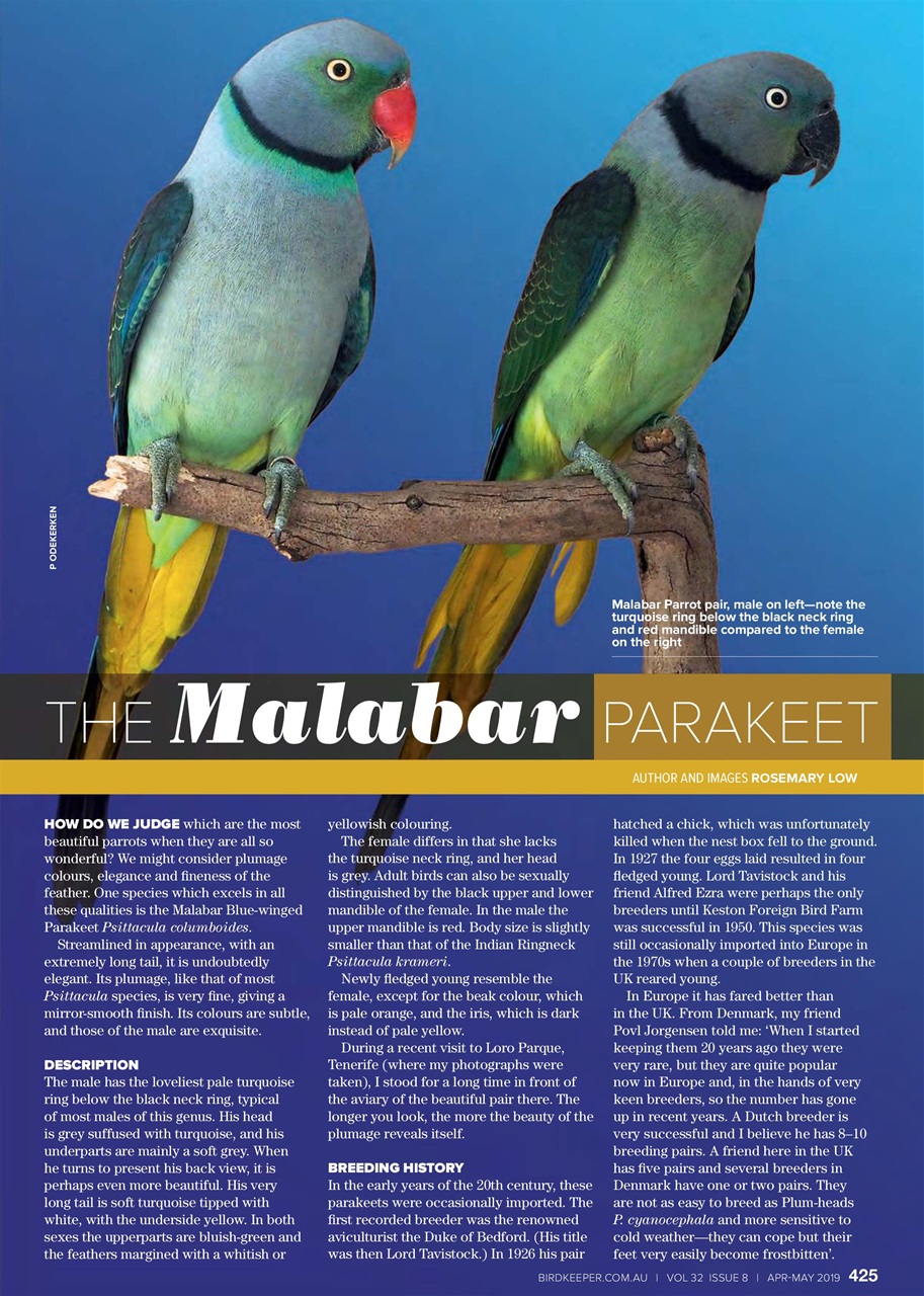 Australian Birdkeeper Magazine Preview Pages