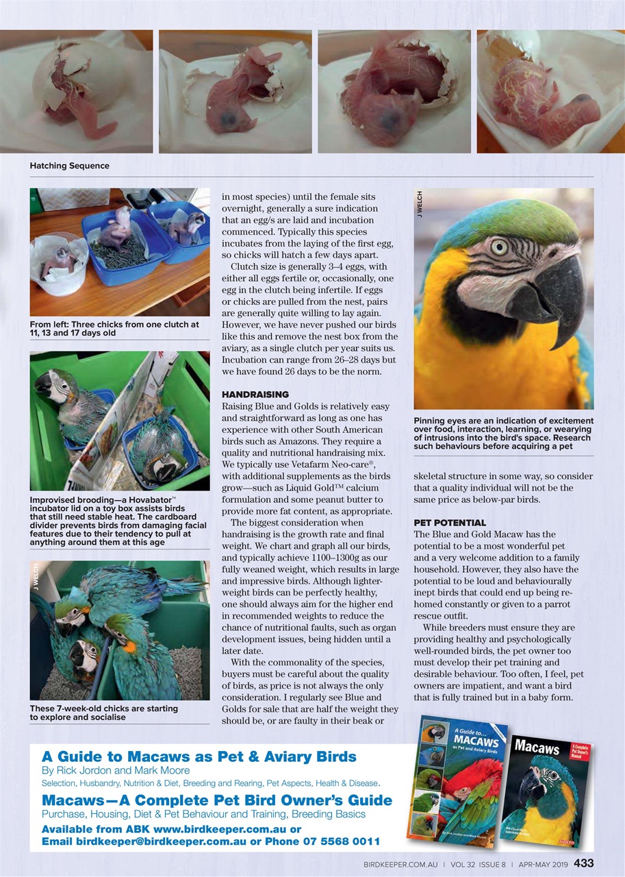 Australian Birdkeeper Magazine Preview Pages