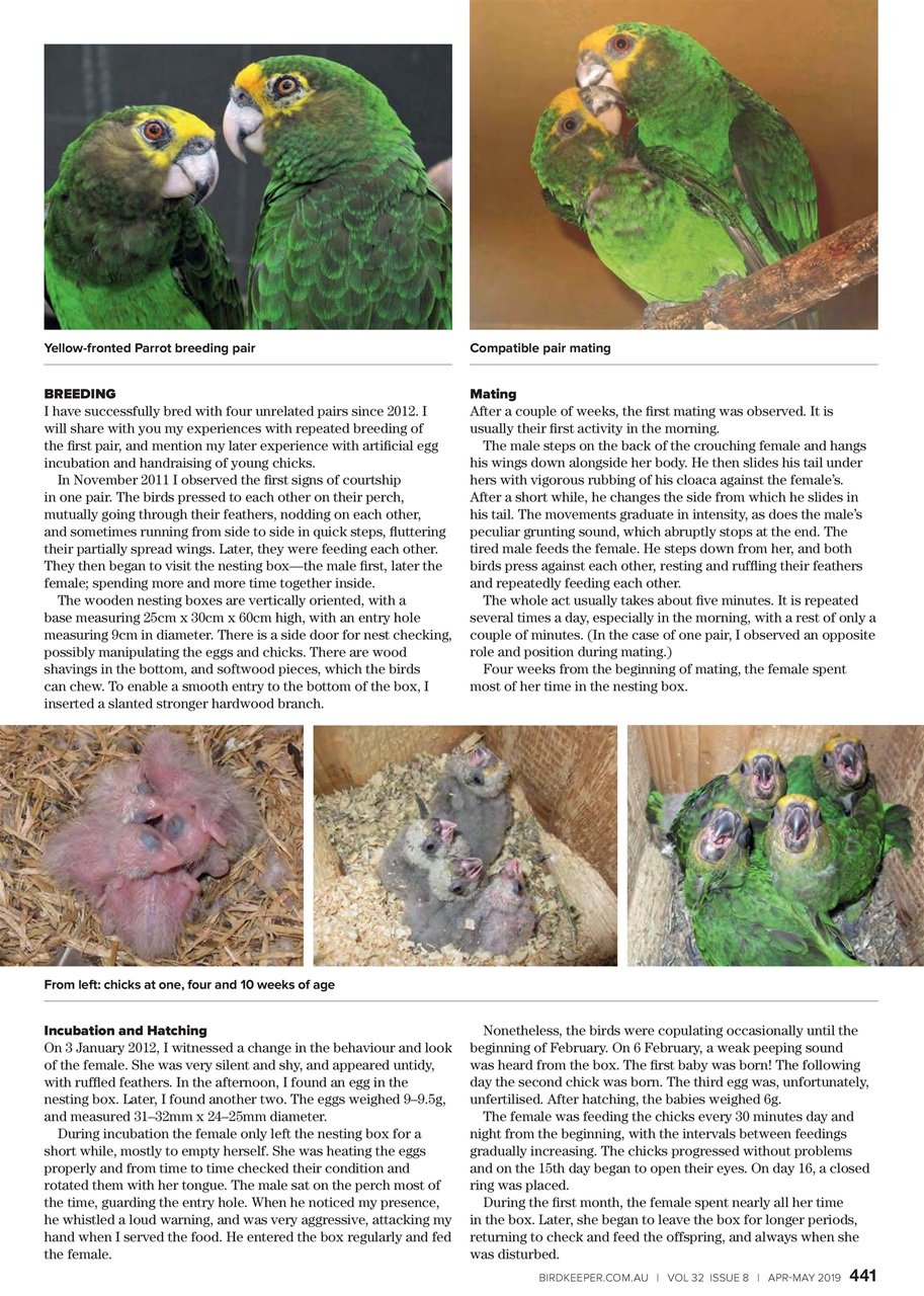 Australian Birdkeeper Magazine Preview Pages