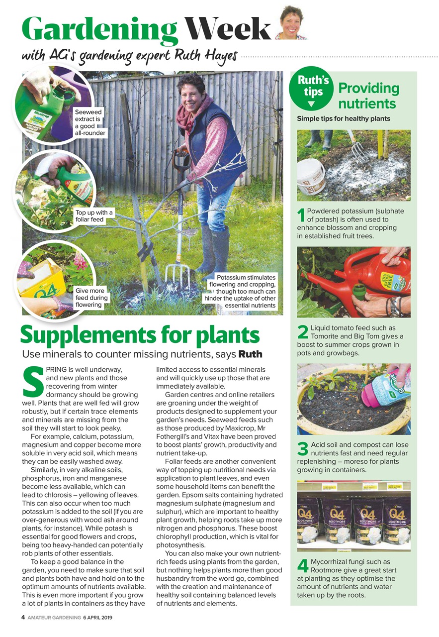 Amateur Gardening Preview Pages