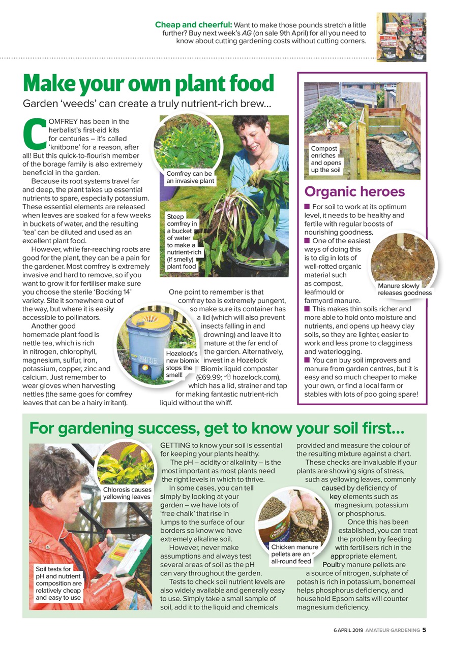 Amateur Gardening Preview Pages
