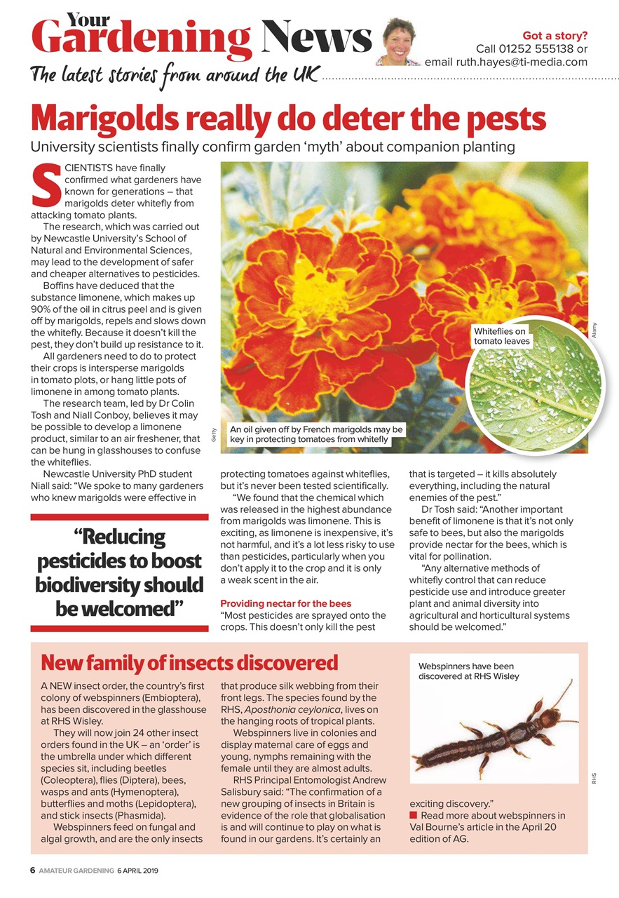 Amateur Gardening Preview Pages