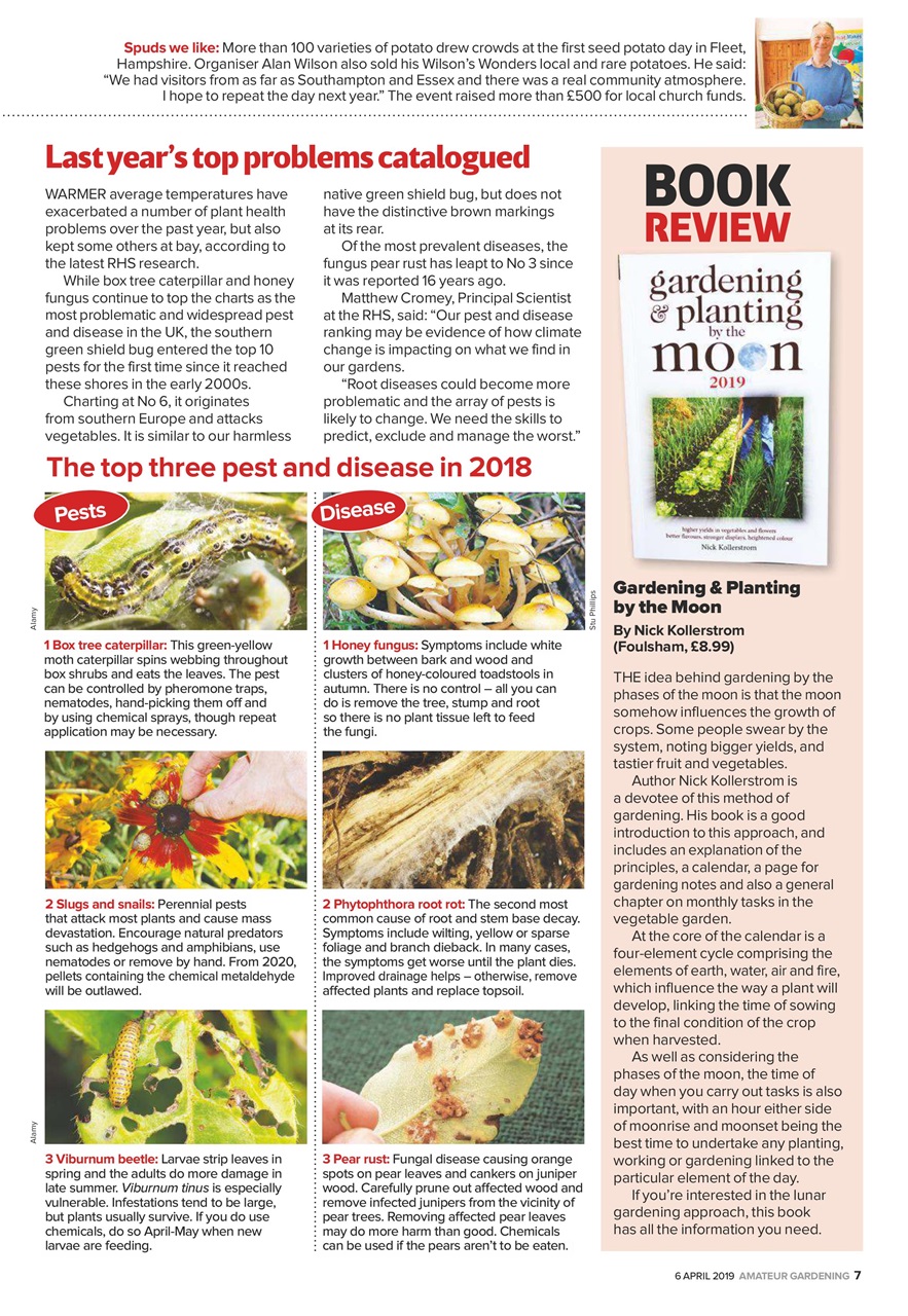 Amateur Gardening Preview Pages