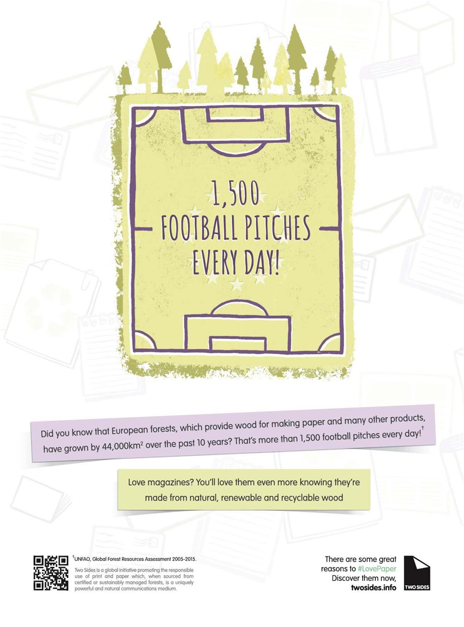 Web Designer Preview Pages