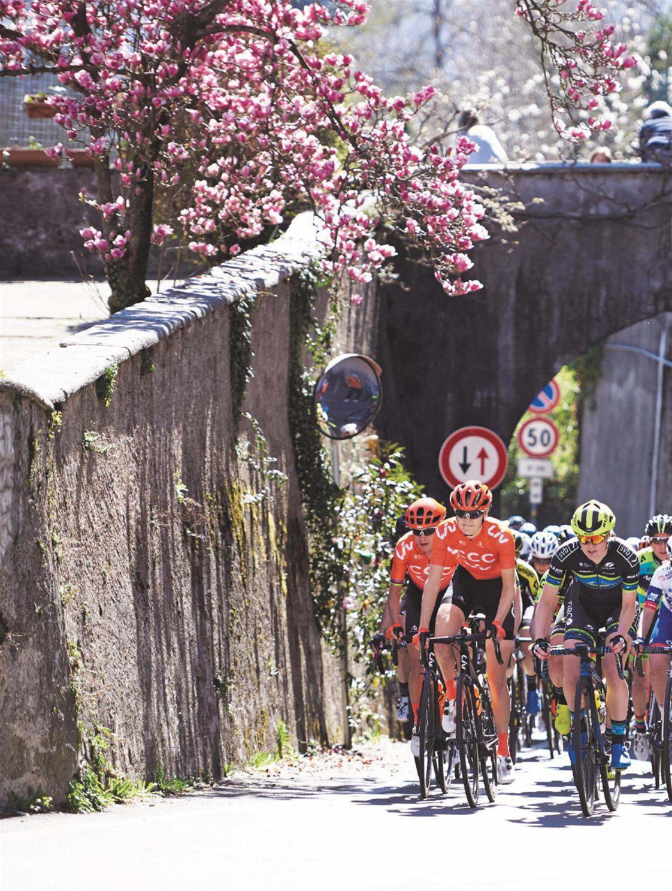 Cycling Weekly Preview Pages