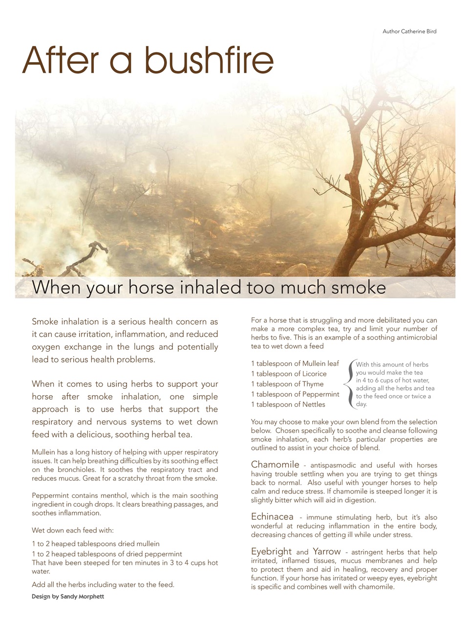 Hoofbeats Preview Pages