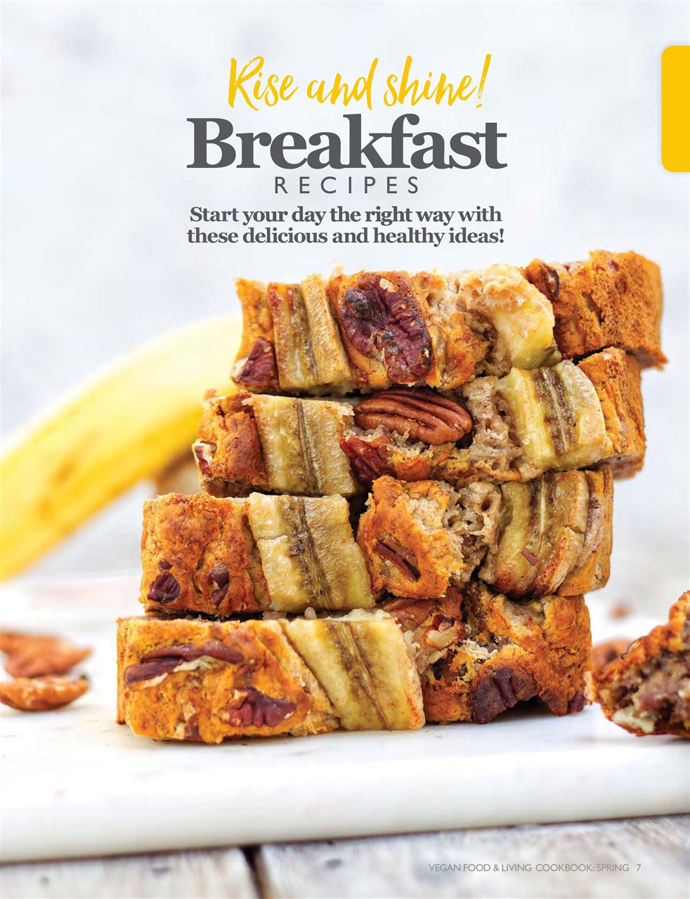 Vegan Food & Living Magazine Preview Pages