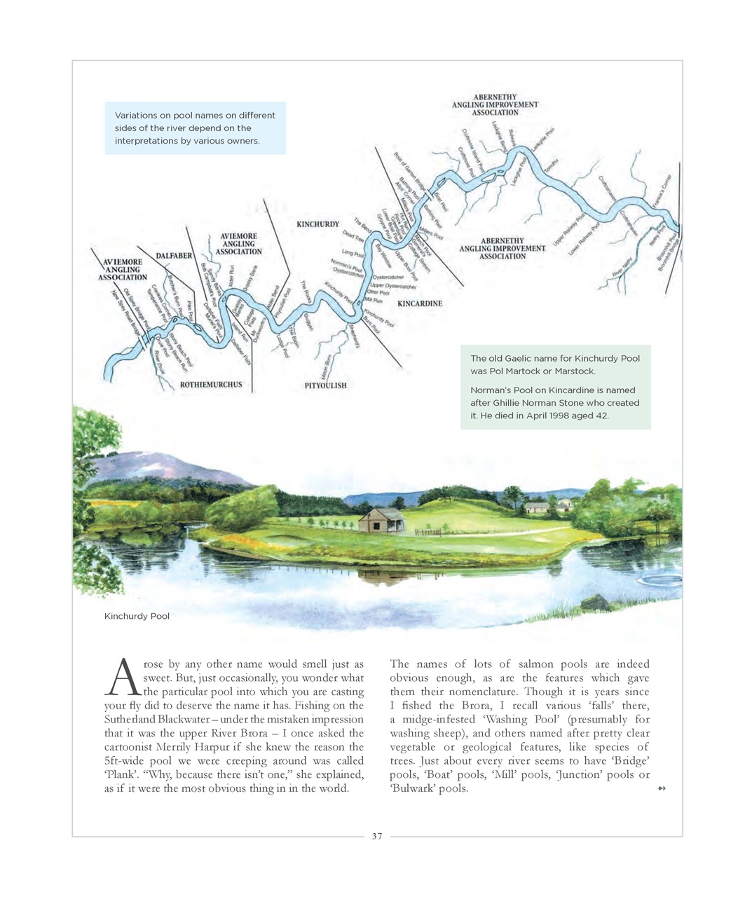 Fieldsports Journal Preview Pages