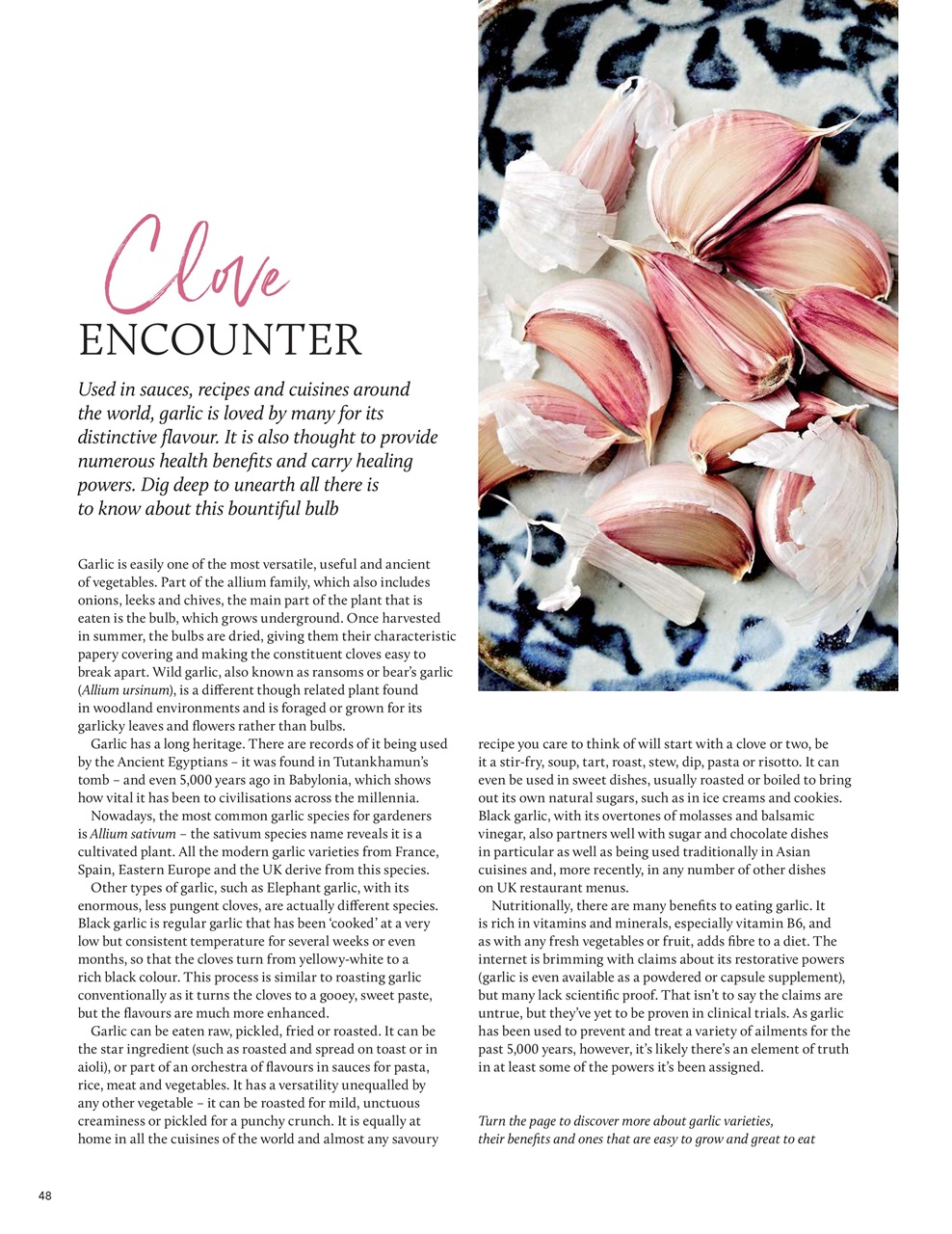 Breathe Preview Pages